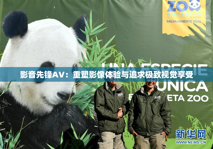 影音先锋AV：重塑影像体验与追求极致视觉享受