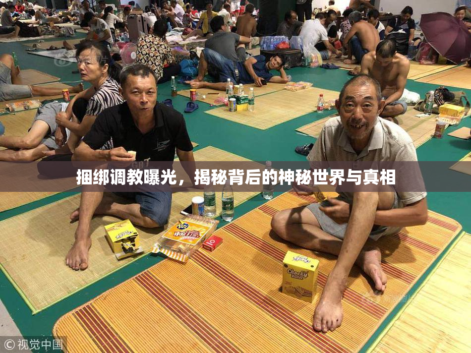 捆绑调教曝光，揭秘背后的神秘世界与真相