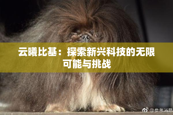 云曦比基：探索新兴科技的无限可能与挑战