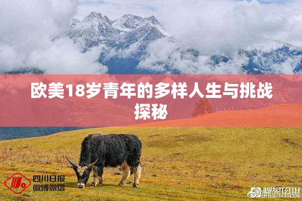 欧美18岁青年的多样人生与挑战探秘
