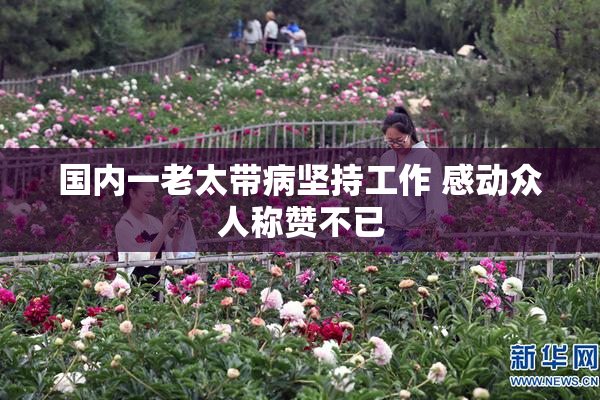 国内一老太带病坚持工作 感动众人称赞不已