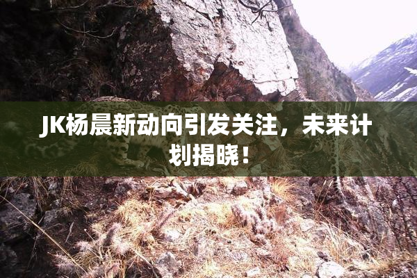 JK杨晨新动向引发关注，未来计划揭晓！