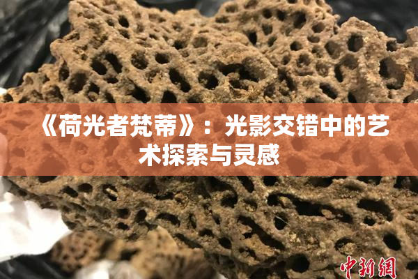 《荷光者梵蒂》：光影交错中的艺术探索与灵感