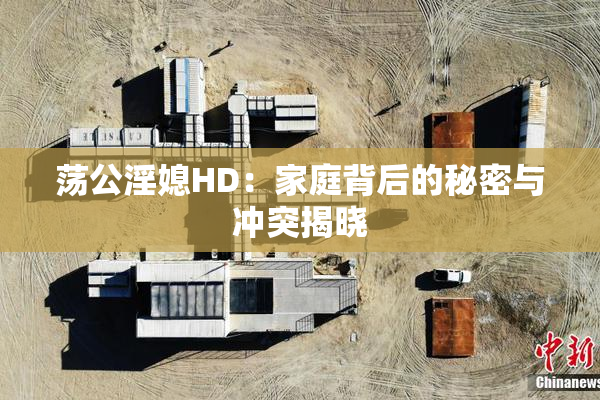 荡公淫媳HD：家庭背后的秘密与冲突揭晓