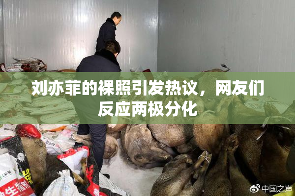 刘亦菲的裸照引发热议，网友们反应两极分化
