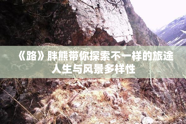 《路》胖熊带你探索不一样的旅途人生与风景多样性