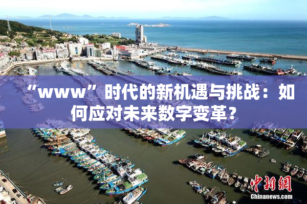 “www”时代的新机遇与挑战：如何应对未来数字变革？