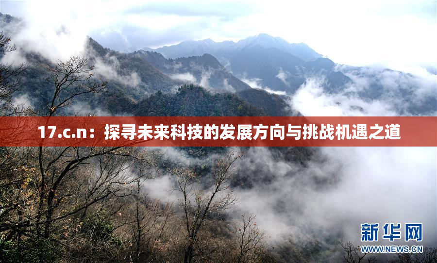 17.c.n：探寻未来科技的发展方向与挑战机遇之道