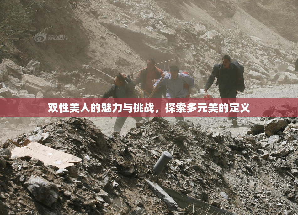 双性美人的魅力与挑战，探索多元美的定义