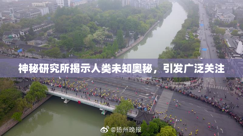 神秘研究所揭示人类未知奥秘，引发广泛关注