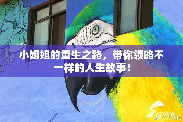 小姐姐的重生之路，带你领略不一样的人生故事！