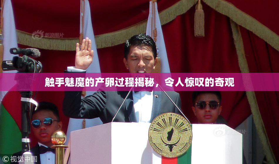 触手魅魔的产卵过程揭秘，令人惊叹的奇观