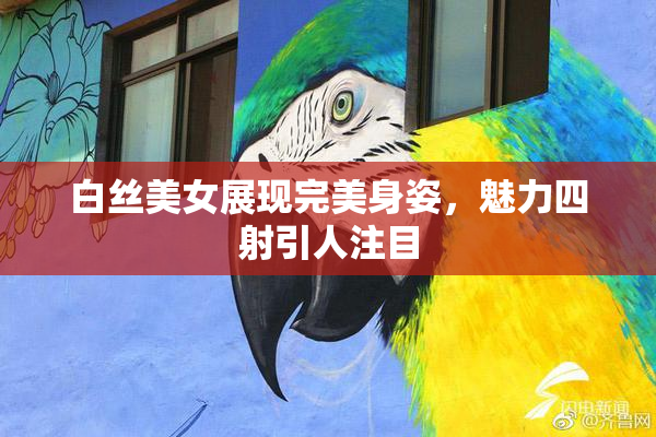 白丝美女展现完美身姿，魅力四射引人注目