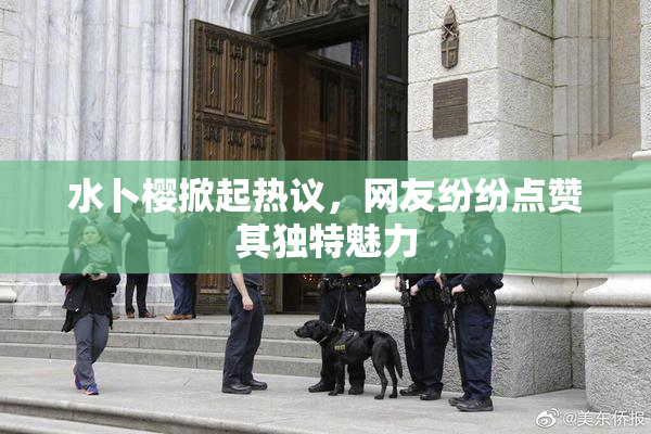 水卜樱掀起热议，网友纷纷点赞其独特魅力