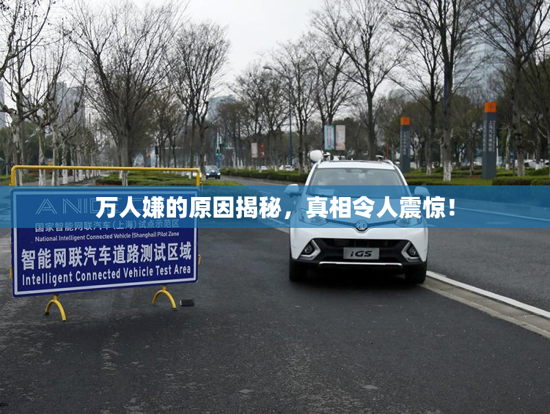 万人嫌的原因揭秘，真相令人震惊！