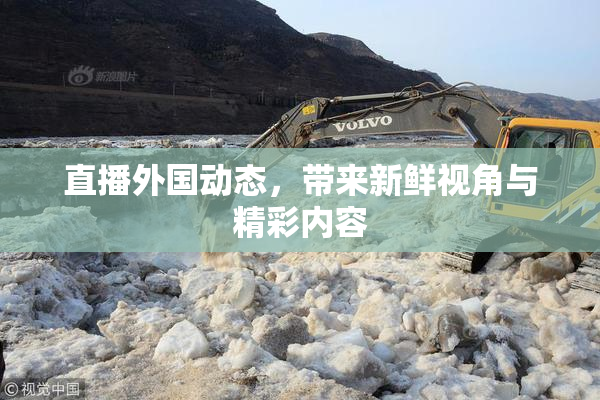 直播外国动态，带来新鲜视角与精彩内容
