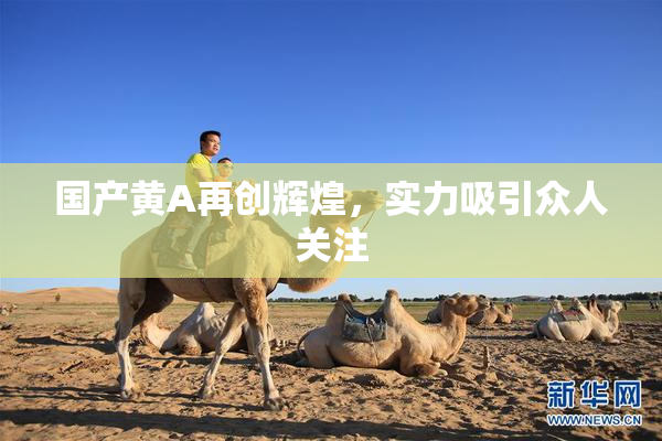 国产黄A再创辉煌，实力吸引众人关注