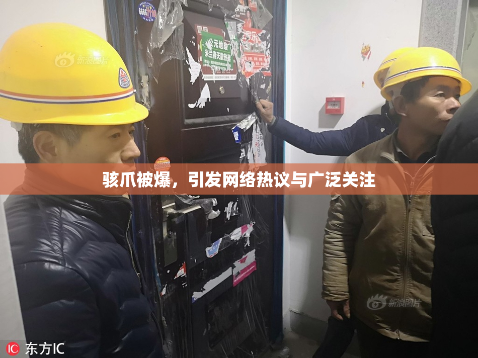 骇爪被爆，引发网络热议与广泛关注