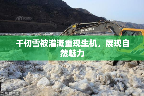 千仞雪被灌溉重现生机，展现自然魅力