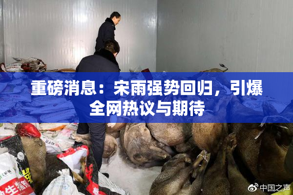 重磅消息：宋雨强势回归，引爆全网热议与期待