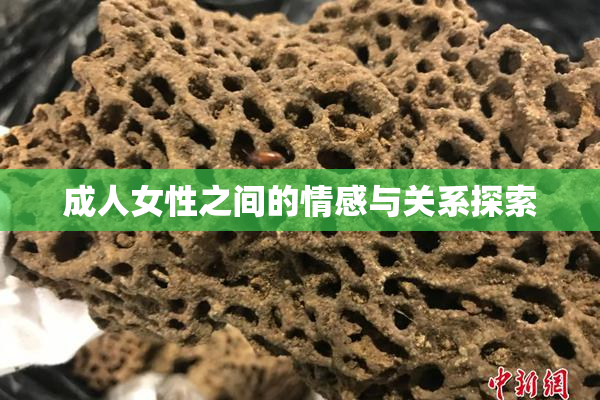 成人女性之间的情感与关系探索