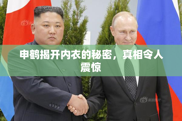 申鹤揭开内衣的秘密，真相令人震惊