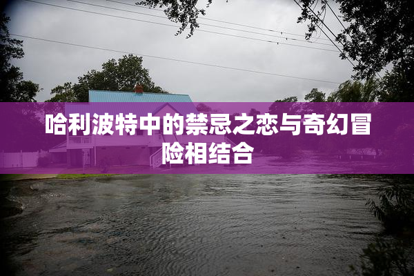 哈利波特中的禁忌之恋与奇幻冒险相结合
