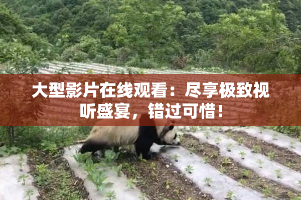 大型影片在线观看：尽享极致视听盛宴，错过可惜！