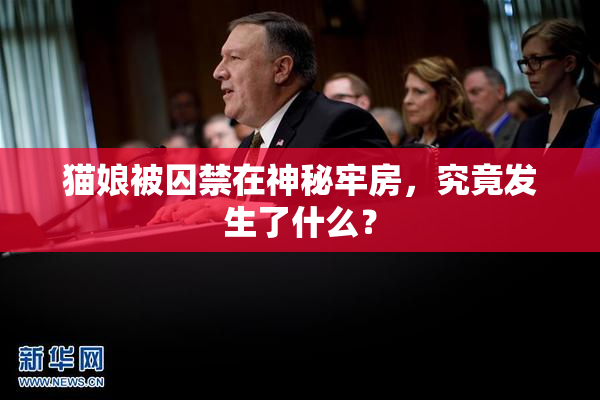 猫娘被囚禁在神秘牢房，究竟发生了什么？