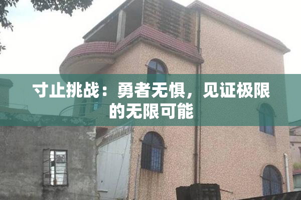 寸止挑战：勇者无惧，见证极限的无限可能