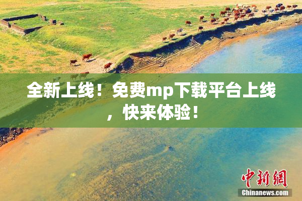 全新上线！免费mp下载平台上线，快来体验！