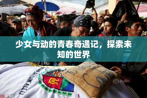 少女与动的青春奇遇记，探索未知的世界