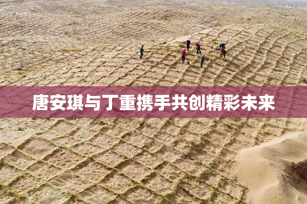 唐安琪与丁重携手共创精彩未来