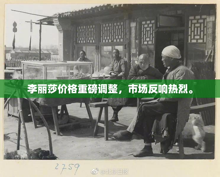 李丽莎价格重磅调整，市场反响热烈。