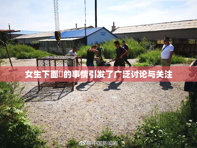 女生下面岀的事情引发了广泛讨论与关注