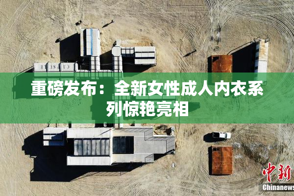 重磅发布：全新女性成人内衣系列惊艳亮相