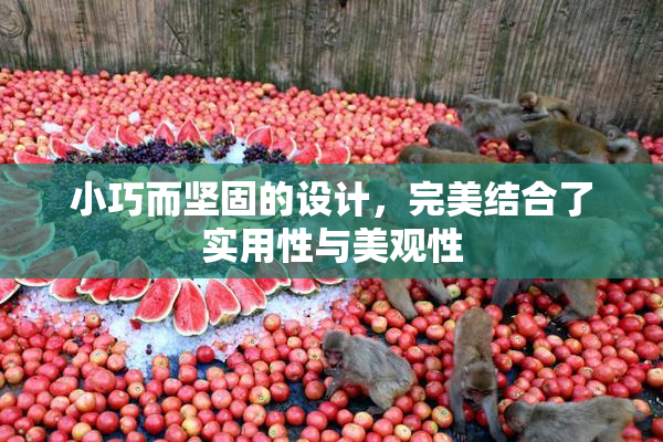 小巧而坚固的设计，完美结合了实用性与美观性