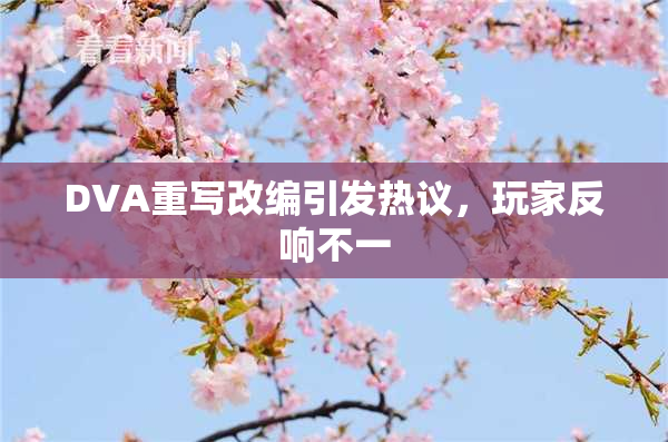 DVA重写改编引发热议，玩家反响不一