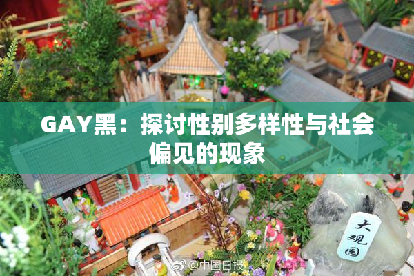 GAY黑：探讨性别多样性与社会偏见的现象