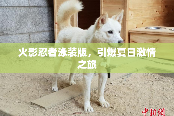 火影忍者泳装版，引爆夏日激情之旅