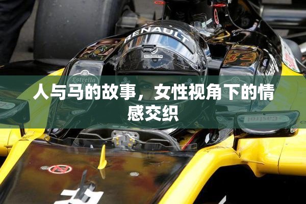 人与马的故事，女性视角下的情感交织