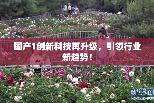 国产1创新科技再升级，引领行业新趋势！