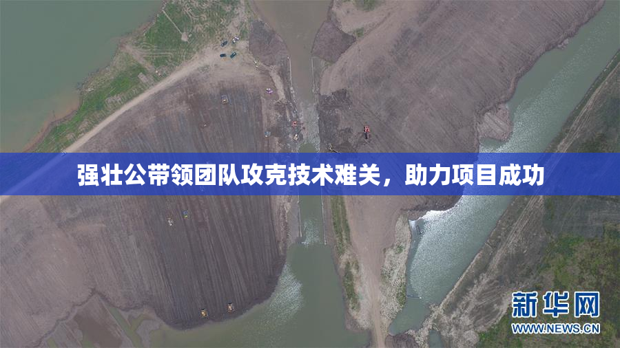 强壮公带领团队攻克技术难关，助力项目成功