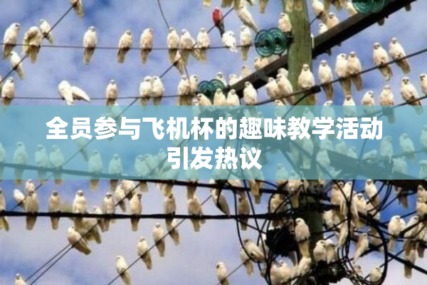 全员参与飞机杯的趣味教学活动引发热议