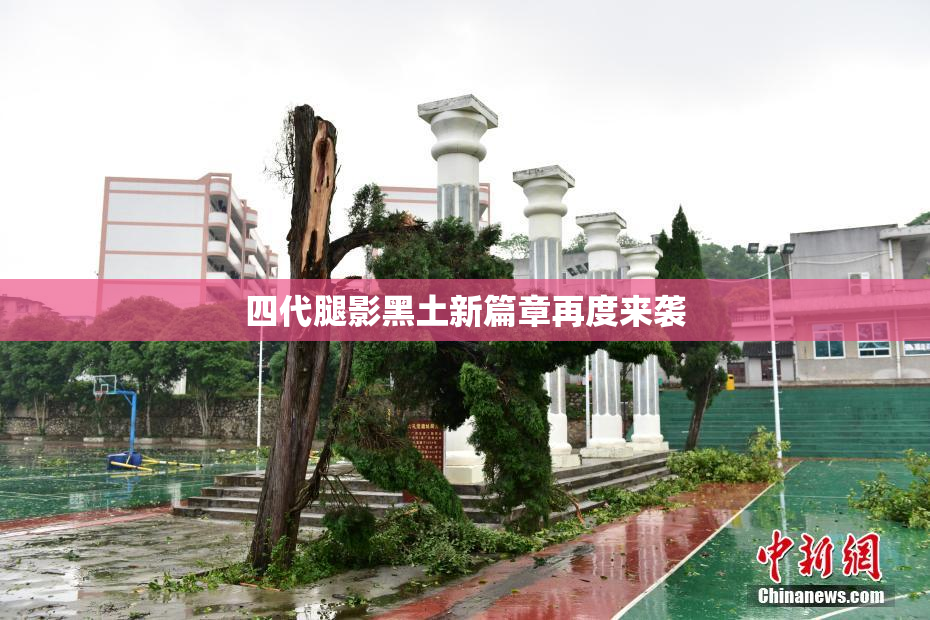 四代腿影黑土新篇章再度来袭
