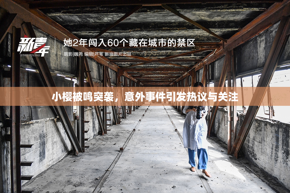 小樱被鸣突袭，意外事件引发热议与关注