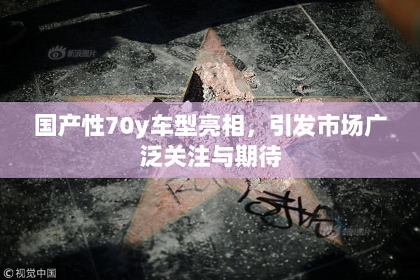 国产性70y车型亮相，引发市场广泛关注与期待