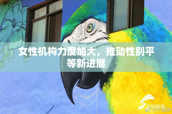 女性机构力度加大，推动性别平等新进展