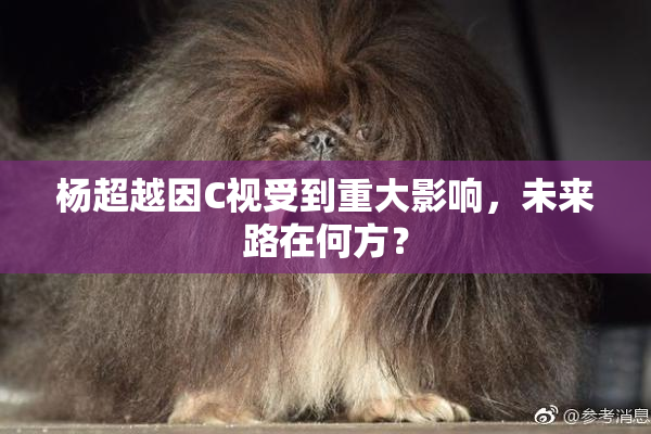 杨超越因C视受到重大影响，未来路在何方？