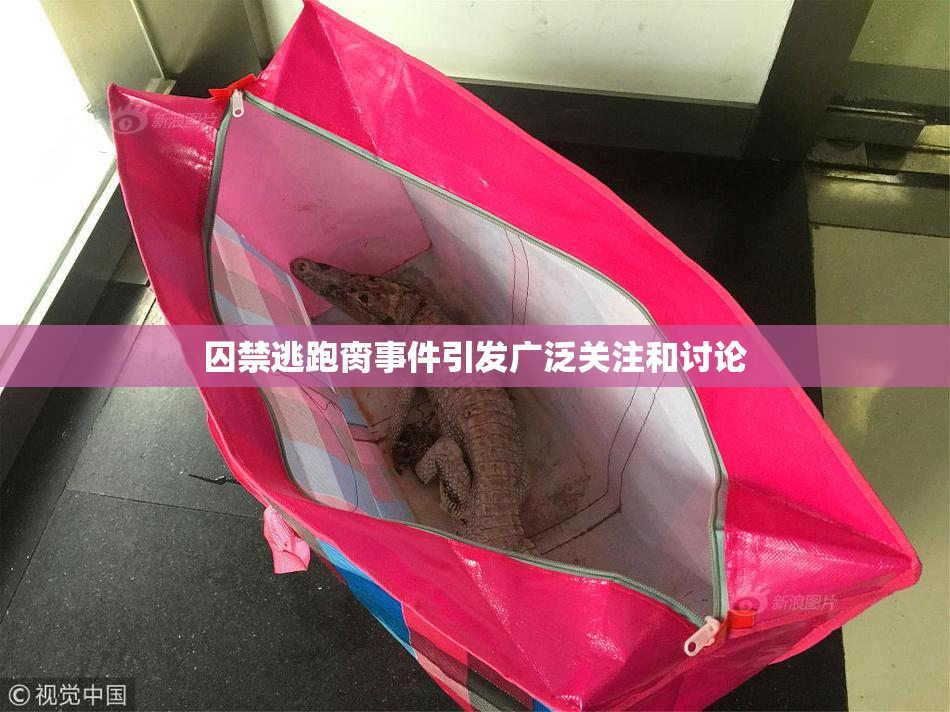 囚禁逃跑脔事件引发广泛关注和讨论